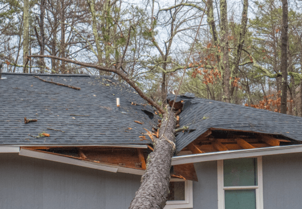 Fallen tree on a Maryland suburban home roof causing storm damage that qualifies for an insurance claim restoration